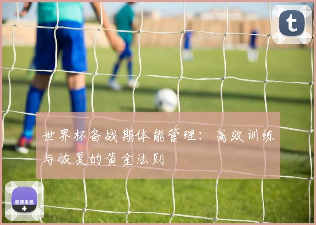 世界杯备战期体能管理：高效训练与恢复的黄金法则