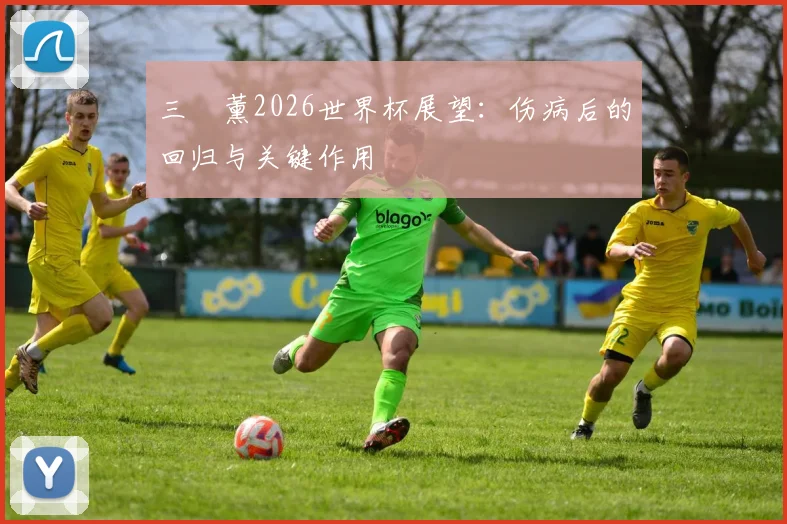 三笘薰2026世界杯展望:伤病后的回归与关键作用