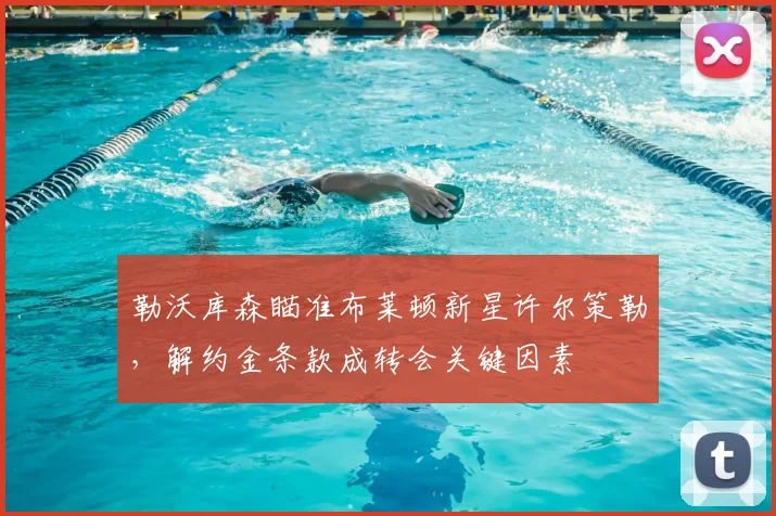 勒沃库森瞄准布莱顿新星许尔策勒，解约金条款成转会关键因素